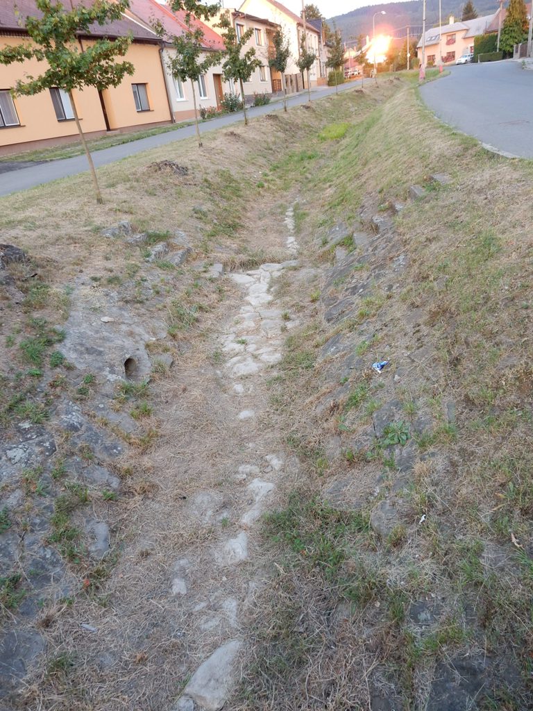 DSCN1811
