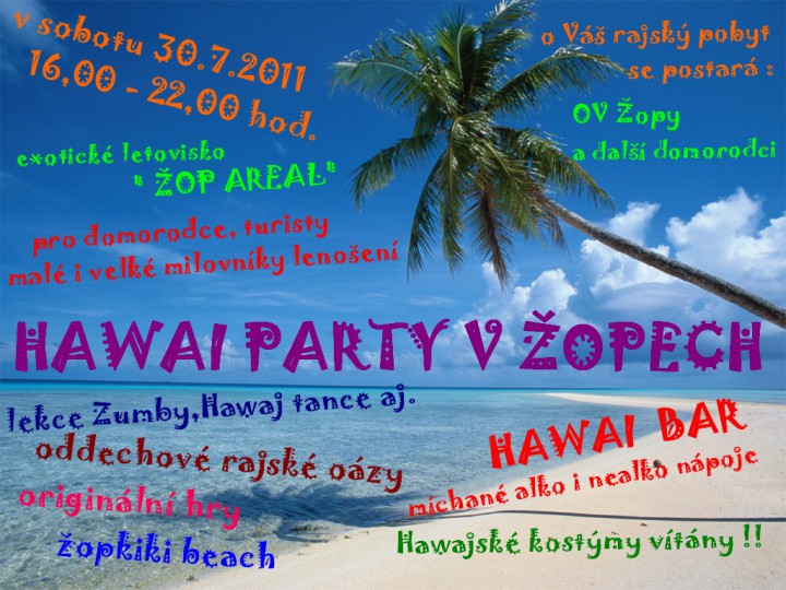 plakat_hawai_2011_-_obrazek.jpg