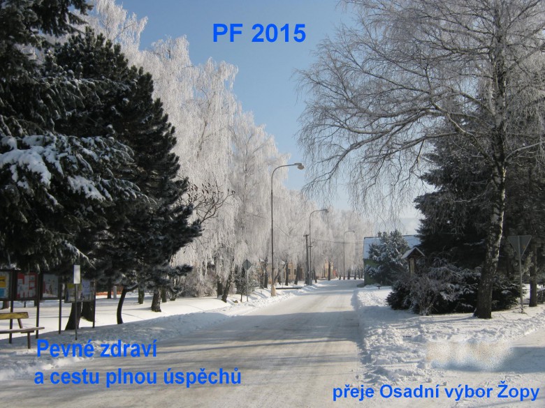pf-2015--web.jpg
